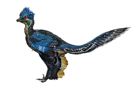 11 Terrifying Dinosaurs That Rocked Feathers Better Than Birds Audubon