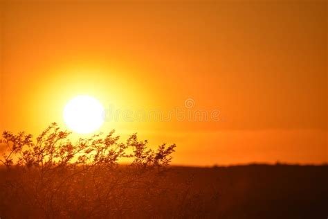 Orange Sunset Landscape Stock Image Image Of Background 104006993