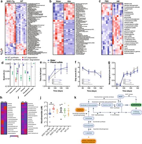 The Serum Metabolomic Profile Is Affected By Antibiotics Or By Am