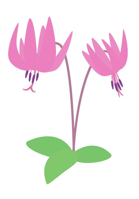 山に咲く春の花（山野草）～かわいい無料のフリーイラスト素材集