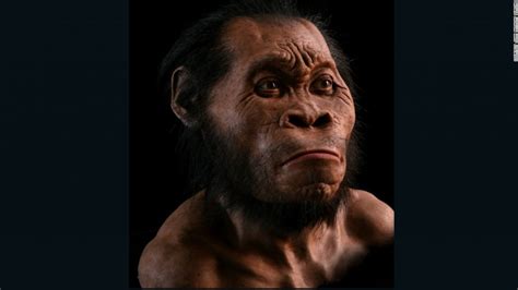 Homo Naledi Una Nueva Especie De Humano Fue Descubierto Dentro De Una
