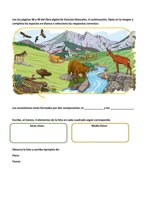 Ejercicio De Template Ecosistemas Y Elementos Images