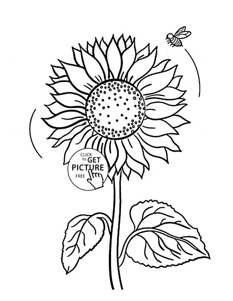Sunflower Drawing Simple At Getdrawings Free Download