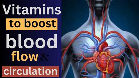 Best Vitamins To Increase Blood Flow And Circulation How To Improve