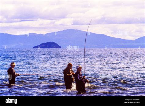 New Zealand North Island Men Fishing In Lake Taupo A Noted Trout