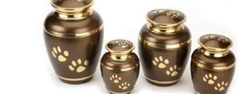 Последние твиты от my pets ashes (@mypetsashes). What to Do With Your Pet's Ashes - The Pet Concierge