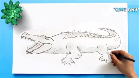 How To Draw A Crocodile Crocodile Drawing Easy 🐊 Youtube