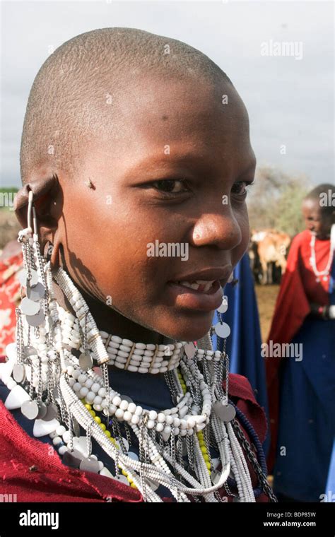 africa tanzania maasai an ethnic group of semi nomadic people female with ornaments stock