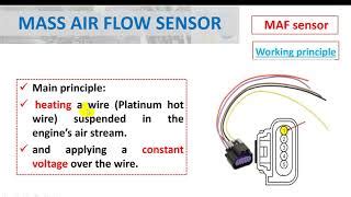 Top Images Toyota Maf Sensor Wiring Diagram In Thptnganamst Edu Vn