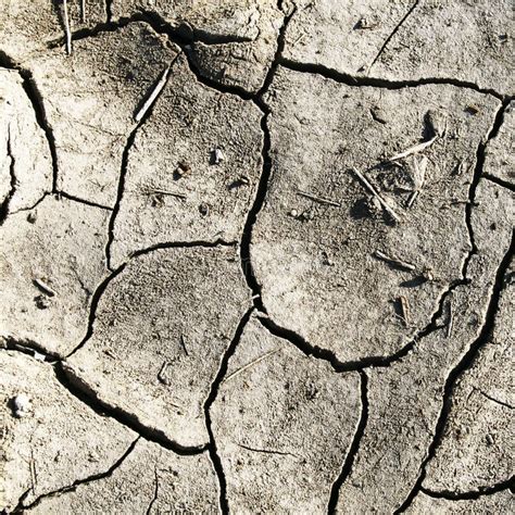 Cracked Dirt Stock Image Image Of Texture Disaster 33193903