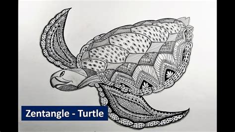 Zentangle Turtle Time Lapse Video Youtube