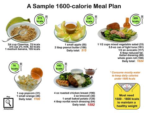 8 Habits To Health Sample 1600 Kcal Meal Plan Habit Pay Attention