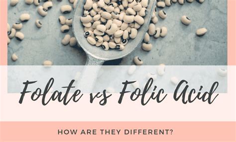 Folate Vs Folic Acid How Are They Different Why You Should Care