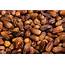Organic Dried Dates  Health Ingredients Trading