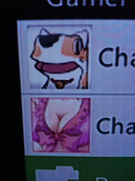 Funny Pictures For Xbox Gamerpic