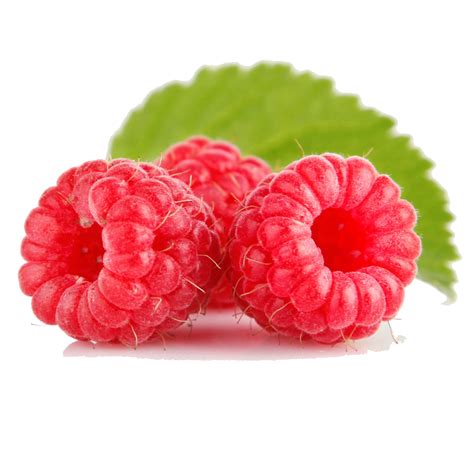 Raspberry Free Png Image Png All Png All