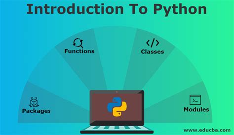 introduction to python programming variables conditionals and my xxx hot girl