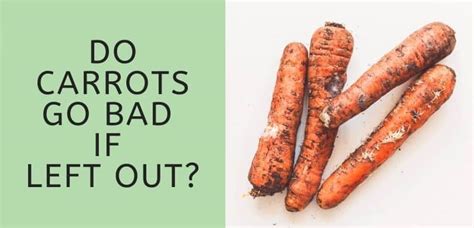 Do Carrots Go Bad If Left Out Thrive Cuisine