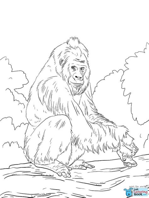 pin  gorilla coloring pages