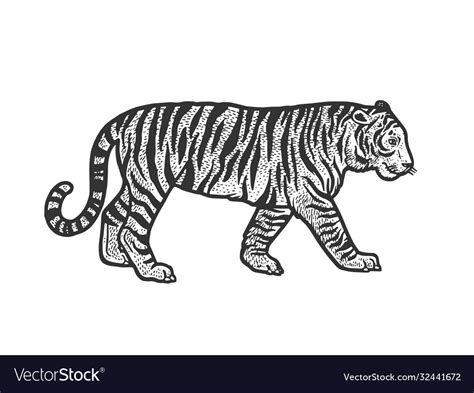 Share 78 Tiger Sketch Super Hot In Eteachers