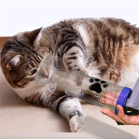 You can also choose from 3 years cat inhaler. Pawgreet Cat Inhaler Spacer - Feline Aerosol Chamber ...