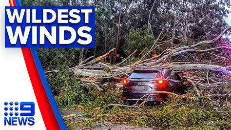 Sydney Lashed By Strongest Winds In Years News Australia Youtube