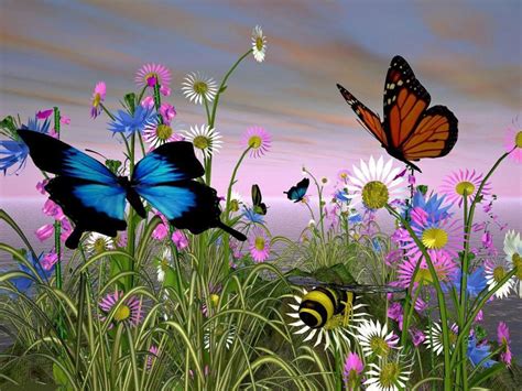 Beautiful Butterflies Butterflies Wallpaper 9481156 Fanpop