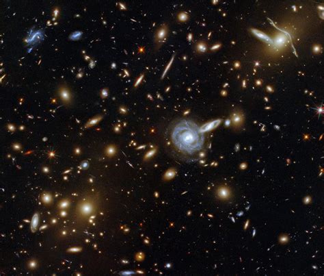 A Menagerie Of Galaxies Hubble Captures A Cluster With Galaxies Of All Shapes And Sizes