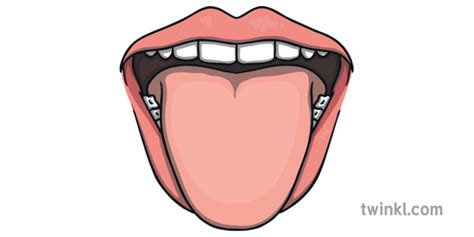 Mouth With Tongue Science Anatomy Body Taste KS Illustration Twinkl