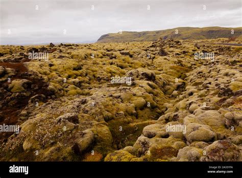 Moss Landscape Iceland Hi Res Stock Photography And Images Alamy