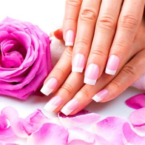 1416 north battlefield boulevard, chesapeake, va 23320 phone: lv nails | Best nail salon in CHESAPEAKE, VA 23320