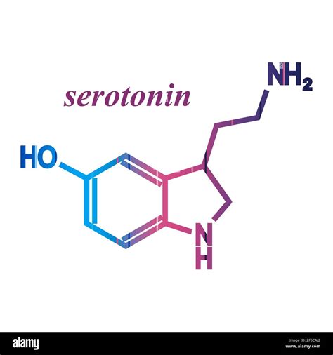 Fórmula Molecular Química Hormona Serotonina Infografía Ilustración Imagen Vector De Stock Alamy