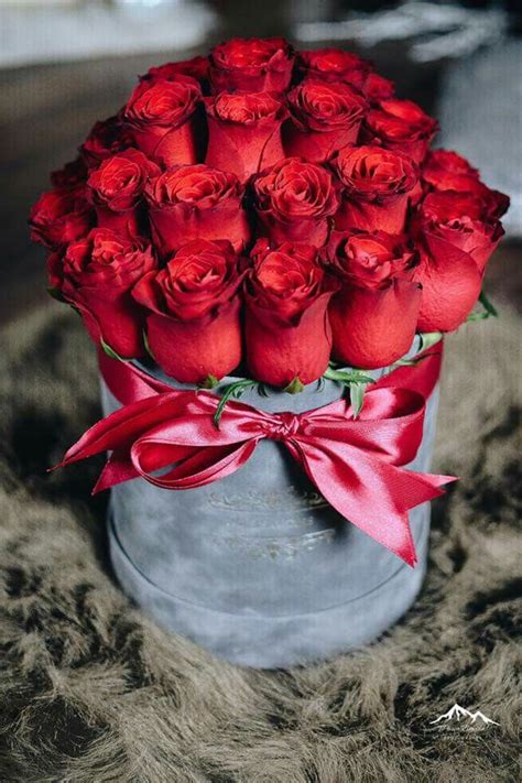 Check spelling or type a new query. Rose rosse per te... | Bellissimi fiori, Immagini di fiori ...