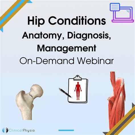 Hip Conditions On Demand Webinar Clinical Physio