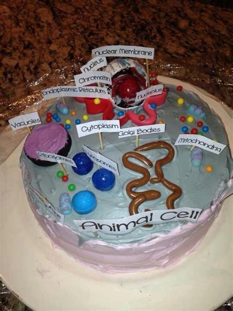 We did not find results for: 17 Best images about Edible cell on Pinterest | Birthday ...