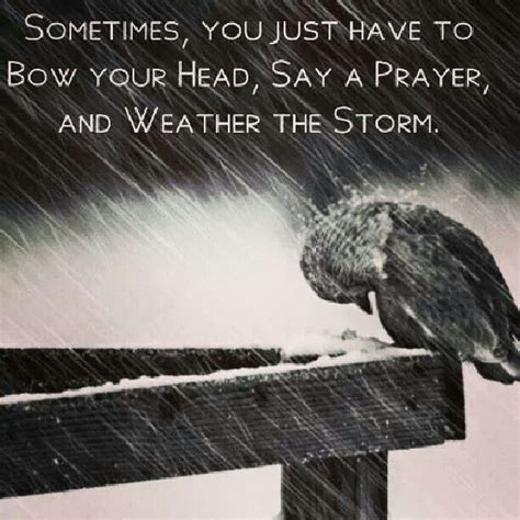 Weathering The Storms Of Life Quotes Quotesgram
