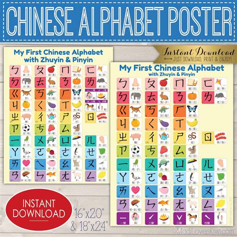 Chinese Alphabet Poster Zhuyin Pinyin Printable 16x20 Bopomofo Chart