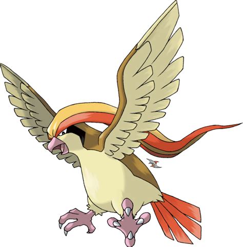 Pokémon Drawing Request Pidgeot Rteenagers