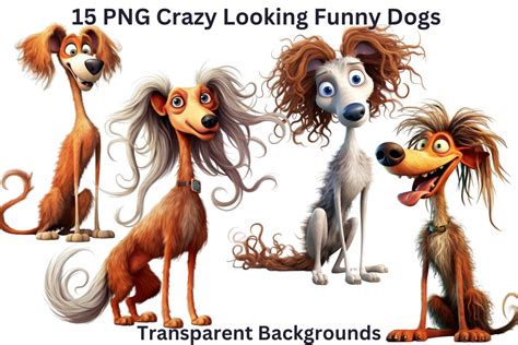 15 Png Crazy Looking Funny Dogs Part 1 Graphic By Imagination Station