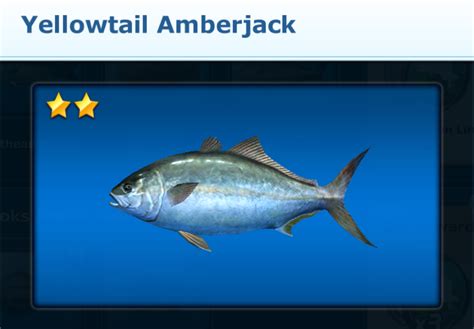 Yellowtail Amberjack Ace Fishing Wiki Fandom