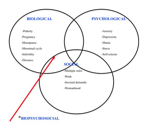 The model was first advocated by george l. Biopsychosocial Model for The Women's Health Program ...