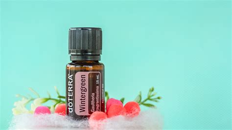 There are 279 wintergreen oil for sale on etsy, and they cost ca$15.92 on average. The Science of Wintergreen | dōTERRA Essential Oils