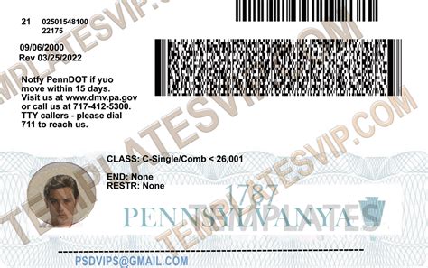 Pennsylvania Pa Drivers License Psd Template Download 2023