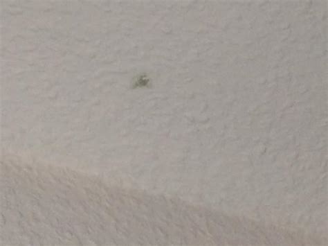 Schimmelpilze im bad, also schwarzer schimmel im bad können an wand, decke und in den fugen vom silikon entstehen. Schimmel in Bad,Küche und Schlafzimmer nach 2 1/2 Monaten ...