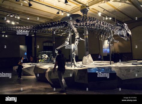 Berlin Germany May 16 2018 Tristan Otto Tyrannosaurus Rex Skeleton