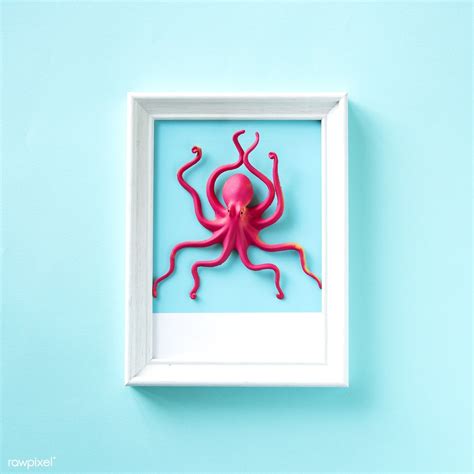 Toy Octopus On A Frame Free Image By Ake Frame Free