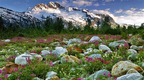 Canada British Columbia Nature Landscapes Meadow Mountains Snow Peacks