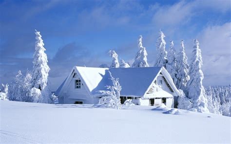 2560x1600 Cabin Hut Winter Snow Pine Trees Wallpaper Coolwallpapersme