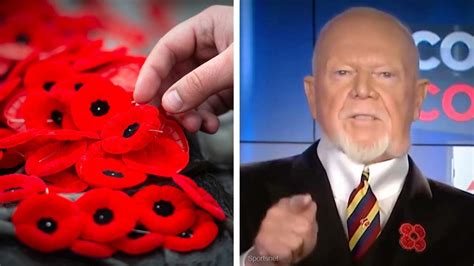 Don Cherry Fired For Poppy Rant Woke Lefties Think Supporting Veterans