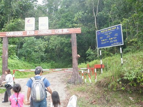 Maktab rendah sains mara kuala kubu bharu. Unschooling Homeschool: Chilling Waterfall, Kuala Kubu ...